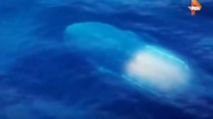 Развитая цивилизации в океане. Тайны океана подводная цивилизация