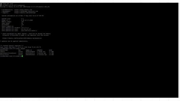 Курс по Docker и командной строке #10 /11: как работает Docker. Связь образов и контейнеров