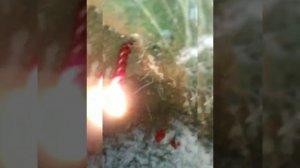 ОНЛАЙН ПОРЧА НА ИМПОТЕНЦИЮ.ОЧЕНЬ ЖЕСТКО.СМОТРЕТЬ С ОСТОРОЖНОСТЬЮ!