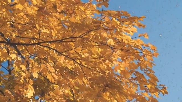 Муж начал поздно приходить с работы, и тут пришла соседка, рассказала подробности смотреть онлайн