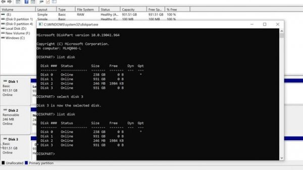 Format New Hard Disk If RAW Format