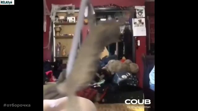 ЛУЧШИЕ ПРИКОЛЫ 2019 ЛЮТЫЕ ПРИКОЛЫ ржака до слез угар видео прикол ПРИКОЛЮХА смотреть онлайн