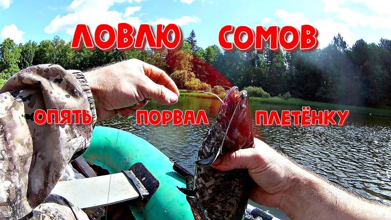 Ловля сома на квок Снова порвал плетёнку Рыбалка на бутылки,жерлицы из бутылок смотреть онлайн