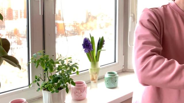 I Will Always Love You | Whitney Houston | violin cover смотреть онлайн