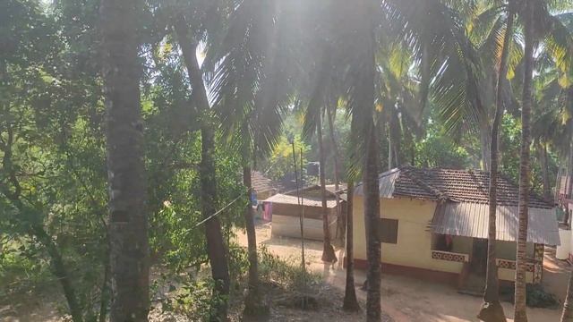 Католическое Рождество в Гоа - нарядные елки и праздничные украшения. Морджим, Гоа, Индия. смотреть онлайн