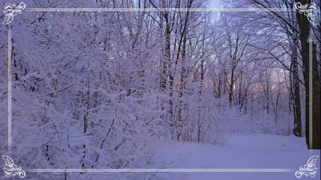 Морозный январь в лесу 2016 смотреть онлайн