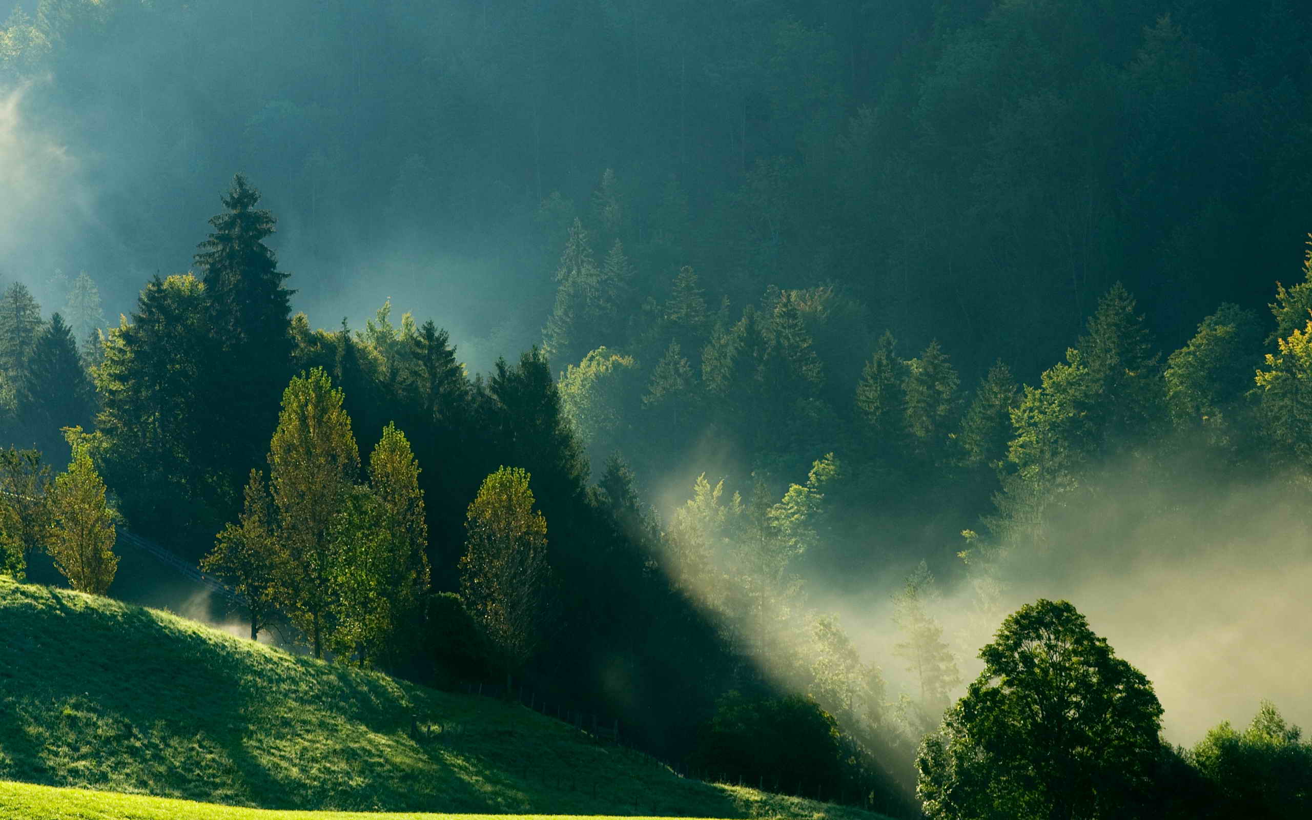 Волшебный мир природы