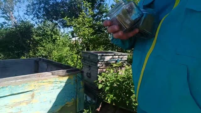 сотовый мёд ?