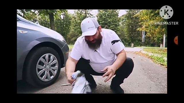 Обзор Хендай солярис. смотреть онлайн