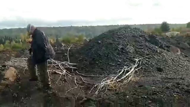Дневник тулеевского отвала смотреть онлайн