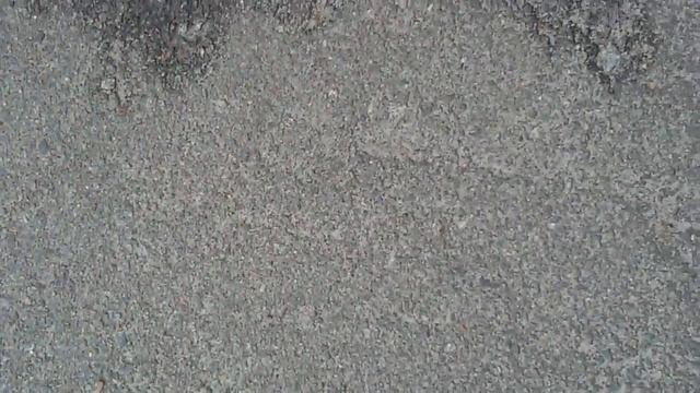 Черная цапля смотреть онлайн