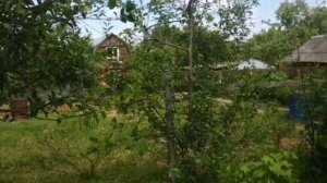 Основные болезни вишни,сливы,черешни.Методы борьбы и профилактика.