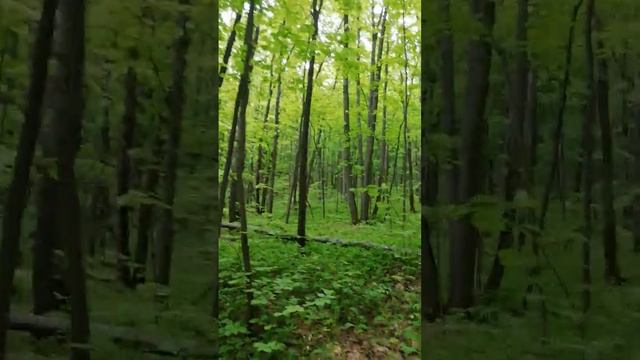 Национальный парк Хвалынский. смотреть онлайн