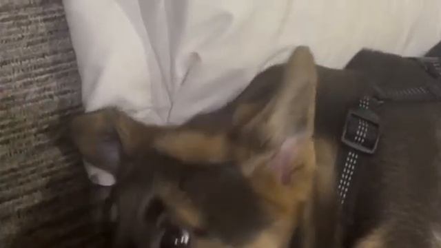 Валькирия-спасение души путь домой. смотреть онлайн