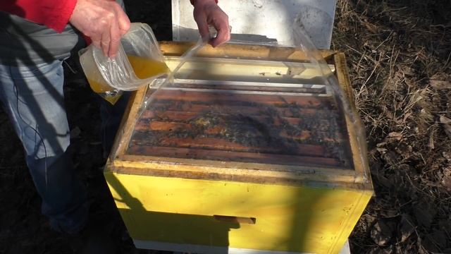 Как бороться с клещом? Хвойный сироп для профилактики варроатоза смотреть онлайн