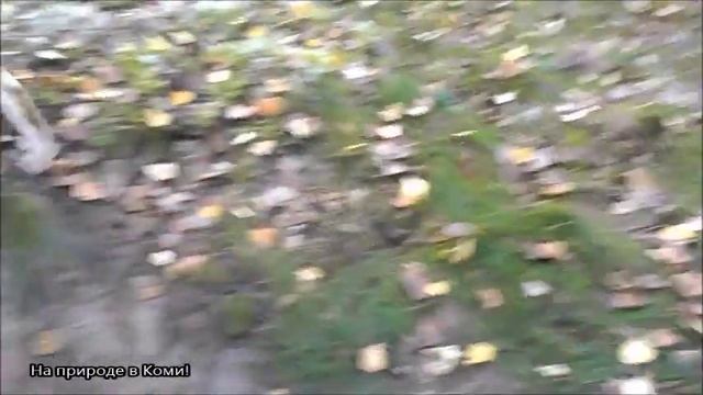 Яма лося. смотреть онлайн