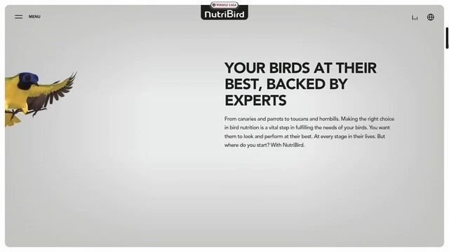 Best CMS For News Website - Choose the Right Content Management System For Your News Site смотреть онлайн
