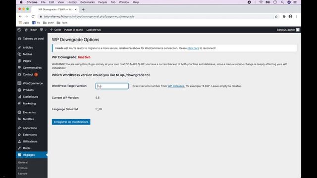 Tuto : Comment retourner / revenir à une version précédente de WordPress sur votre site Web ??? смотреть онлайн