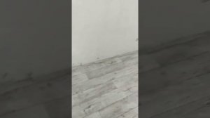 Укладываем линолеум под дверные коробки