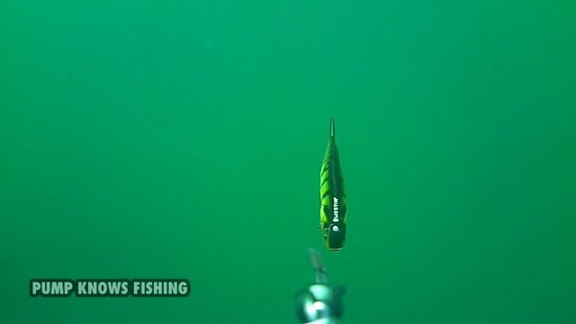 Westin Percy The Perch Inline - Waterwolf Underwater Footage