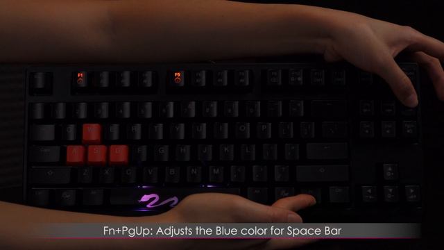 Ducky Shine 3 Mechanical Keyboard Review: What a Light Show! смотреть онлайн