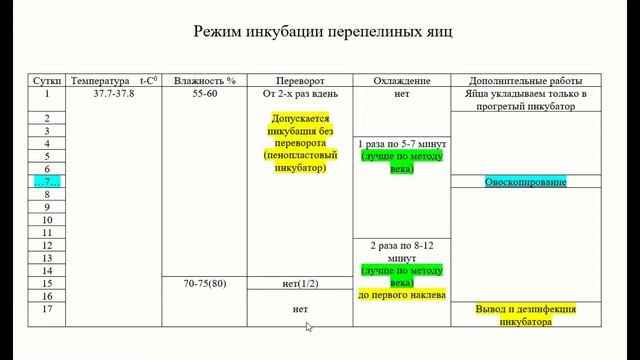 Мой лучший режим инкубации перепелиных яиц смотреть онлайн