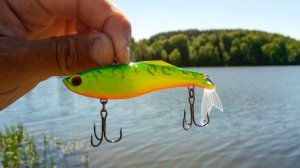 КАК ВСЕГДА, ЭТОТ Раттлин МЕНЯ ВЫРУЧИЛ! Рыбалка на спиннинг в августе