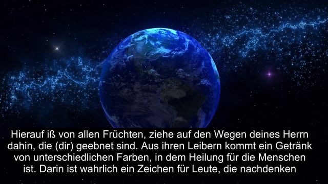 Kapitel 16 Die Biene, Das Meiste Herz Berührt Die Koranrezitation, Über 90 Untertitel смотреть онлайн