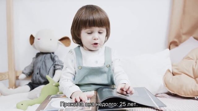 Топ 10 Самых маленьких людей в мире смотреть онлайн