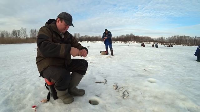 ВОТ ЭТО КАБАН.., ПРИШЛОСЬ НЫРЯТЬ..! ЛОВЛЯ НА ГИРЛЯНДУ..! РЫБАЛКА с НОЧЁВКОЙ - день Второй! смотреть онлайн