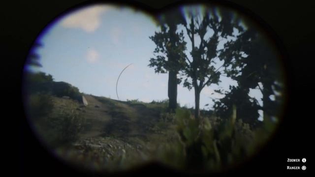 QUEL EST LE SECRET DES ARBRES BALISE? RED DEAD REDEMPTION 2 смотреть онлайн