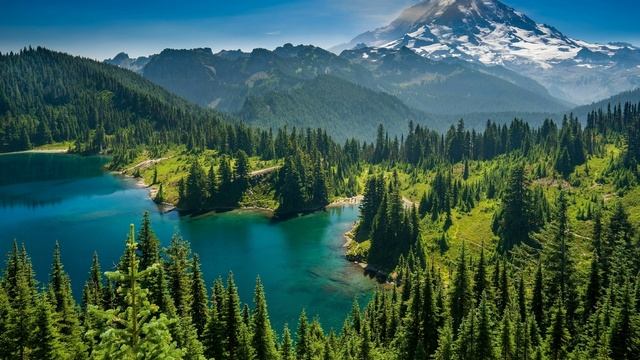 Поющие чаши слушать звукотерапия для очищения! смотреть онлайн