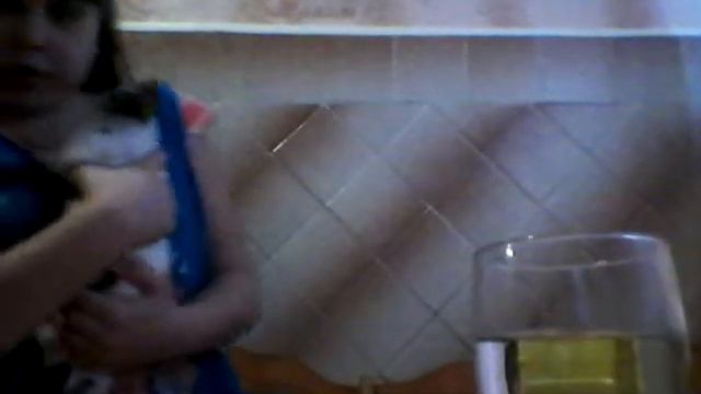 Челендж попробуй не пить. Я показываю своего домашнего кролика смотреть онлайн