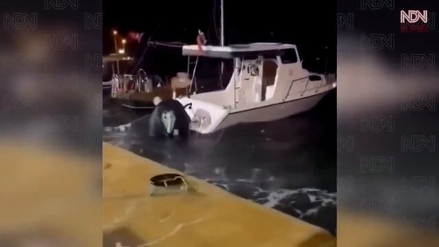 The SEA is Eating up part of Turkey: Izmir and Antalya are engulfed in Floods and Storms. Türkiye смотреть онлайн