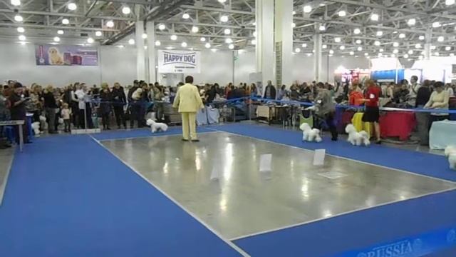 Open class (males) смотреть онлайн