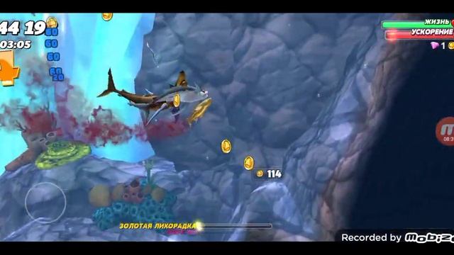 обзор акул в игре hungry shark world - синяя акула смотреть онлайн