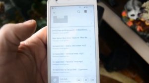 Краткий обзор-отзыв Sony MHC-V11