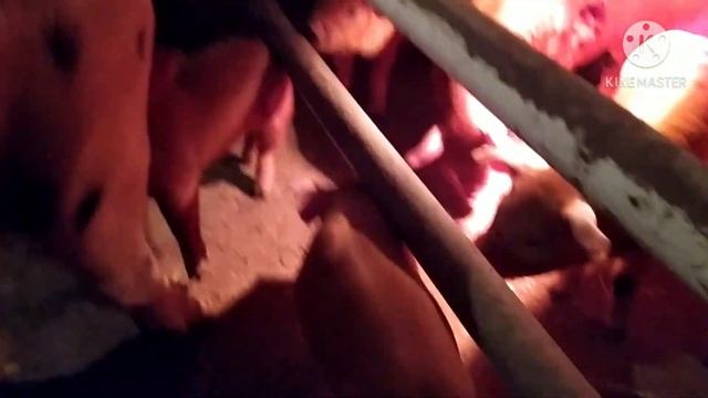 Выгрузили очень устали.