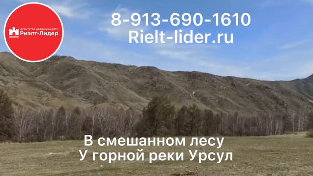земельный участок площадью 3 Га. 2 километра от села Онгудай, в смешанном лесу у горной реки Урсул. смотреть онлайн