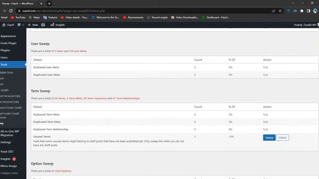 How To Clean Up Your WordPress Database смотреть онлайн