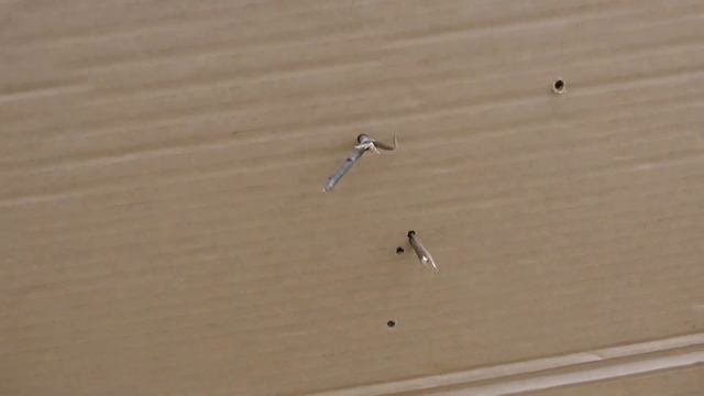 Тест патронов барнаул. Прикрутил Вепря к берёзе смотреть онлайн