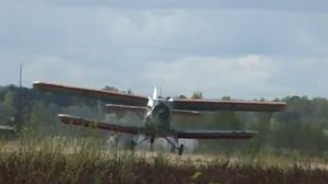 Авиалесоохрана, лесные пожары