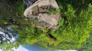 Гузерипль 20052023 4K