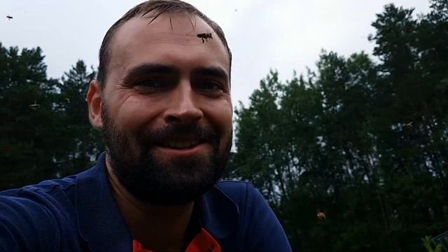 Подкормка пчел сиропом смотреть онлайн