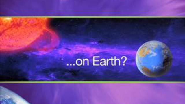 The Experience смотреть онлайн