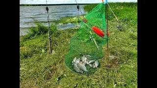 Рыбалка на карпа в Некрасово июль .