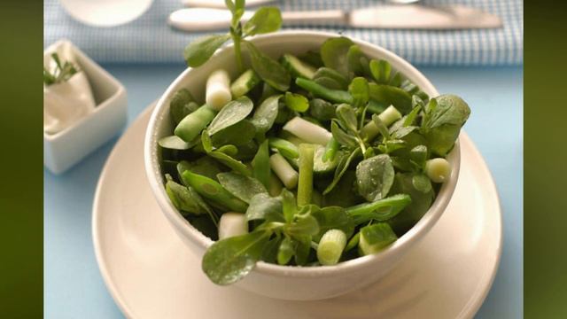 Ibn Sino Semiz O'tning Foydalari Haqida смотреть онлайн