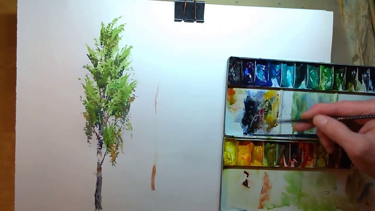 Берёза акварелью смотреть онлайн