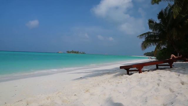 MALDIVES @ Sun Island Resort смотреть онлайн