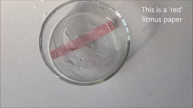 Action of Red and Blue Litmus Paper on Acid and Alkali - Experiment смотреть онлайн